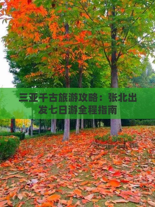 三亚千古旅游攻略：张北出发七日游全程指南
