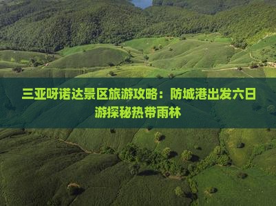 三亚呀诺达景区旅游攻略：防城港出发六日游探秘热带雨林