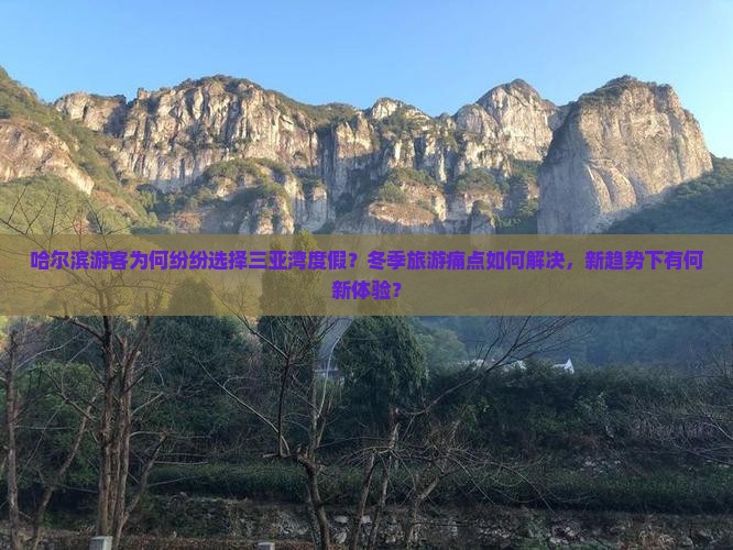 哈尔滨游客为何纷纷选择三亚湾度假？冬季旅游痛点如何解决，新趋势下有何新体验？