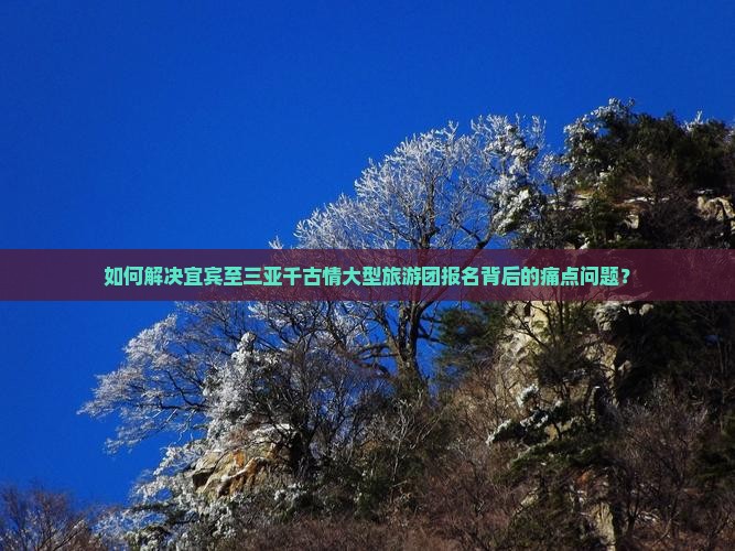 如何解决宜宾至三亚千古情大型旅游团报名背后的痛点问题？