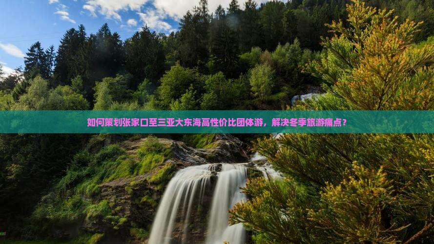 如何策划张家口至三亚大东海高性价比团体游，解决冬季旅游痛点？