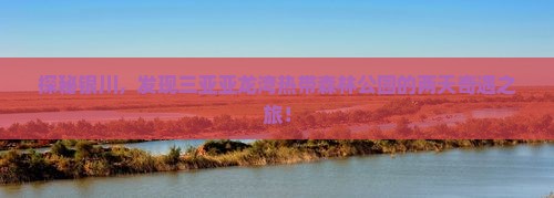 探秘银川，发现三亚亚龙湾热带森林公园的两天奇遇之旅！