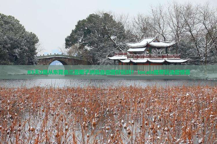 #3天2晚从东莞去三亚椰子洲岛自由团好玩吗？ locals推荐玩法超惊喜