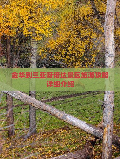 金华到三亚呀诺达景区旅游攻略详细介绍