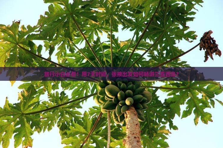 旅行小白必看！用7天时间，张掖出发如何畅游三亚西岛？