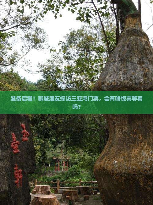 准备启程！聊城朋友探访三亚湾门票，会有啥惊喜等着吗？