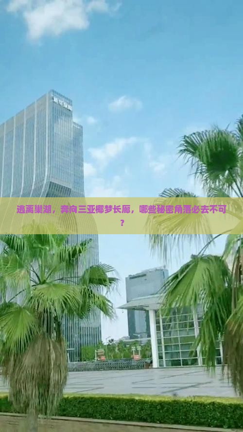 逃离巢湖，奔向三亚椰梦长廊，哪些秘密角落必去不可？