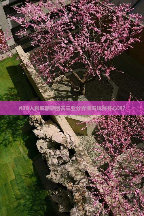 #30人聊城旅游团去三亚分界洲岛玩得开心吗？