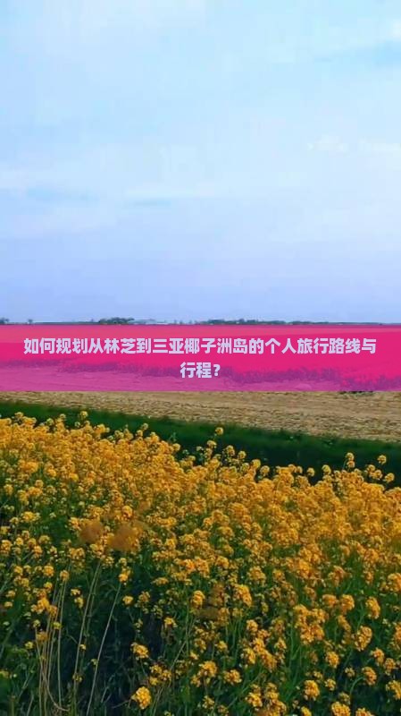 如何规划从林芝到三亚椰子洲岛的个人旅行路线与行程？