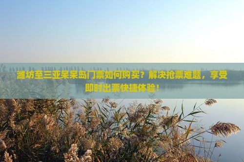 潍坊至三亚呆呆岛门票如何购买？解决抢票难题，享受即时出票快捷体验！