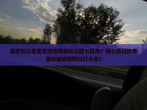 德宏到三亚亚龙湾热带森林公园七日游？担心错过热带雨林秘境和网红打卡点？