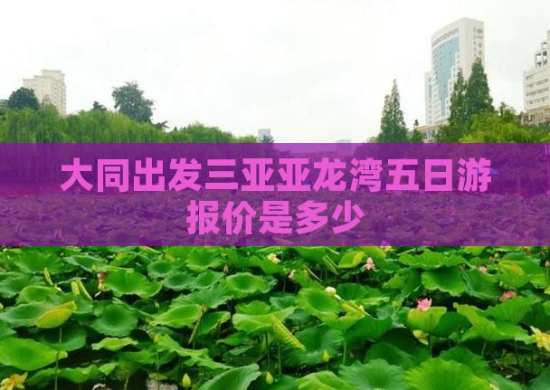 大同出发三亚亚龙湾五日游报价是多少