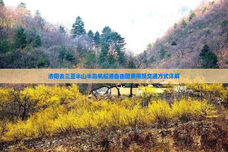 洛阳去三亚半山半岛帆船港自由团费用及交通方式详解