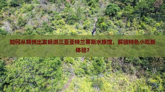 如何从朔州出发畅游三亚亚特兰蒂斯水族馆，解锁特色小吃新体验？