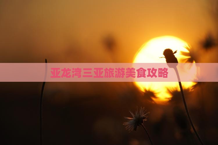 乌鲁木齐去三亚亚龙湾旅游小吃 乌鲁木齐去三亚亚龙湾旅游小吃