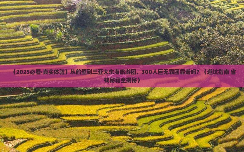 鹤壁出发三亚大东海大型旅游团