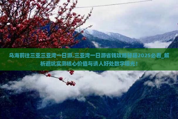 乌海前往三亚三亚湾一日游