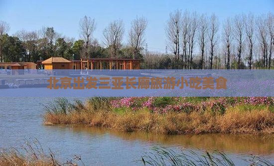 北京出发三亚椰梦长廊旅游小吃