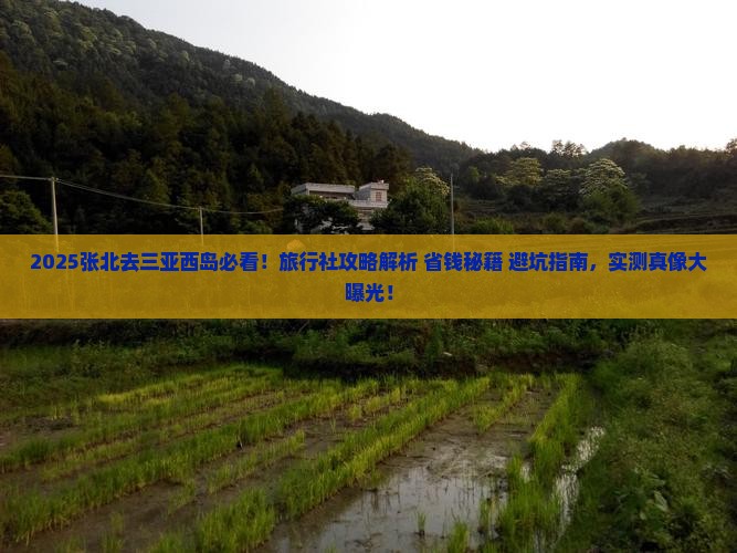 张北前往三亚西岛旅行社