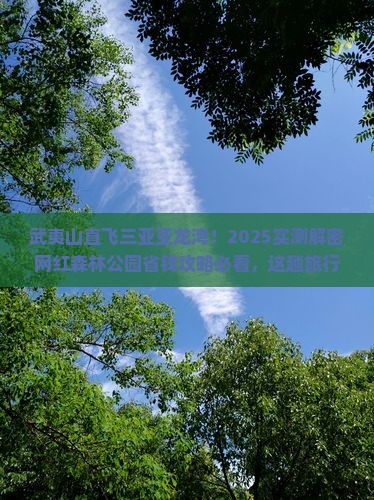 武夷山前往三亚亚龙湾热带森林公园旅游网红地点