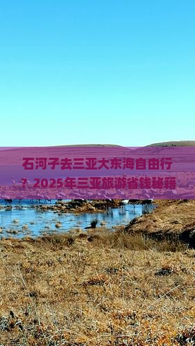 石河子去三亚大东海自由行 石河子去三亚大东海自由行
