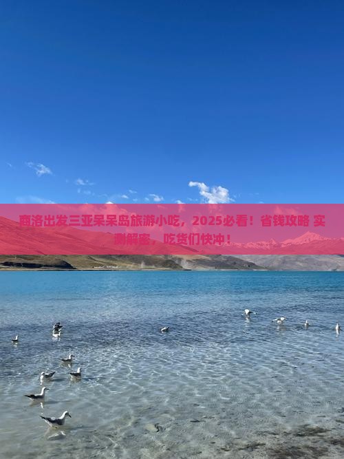商洛出发三亚呆呆岛旅游小吃