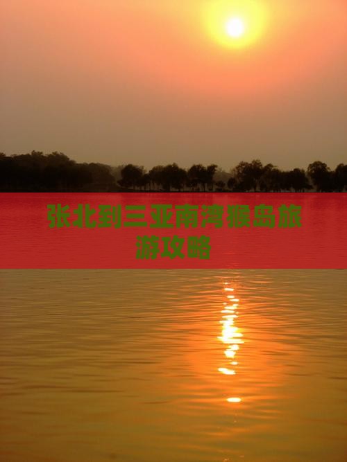 张北前往三亚南湾猴岛个人游