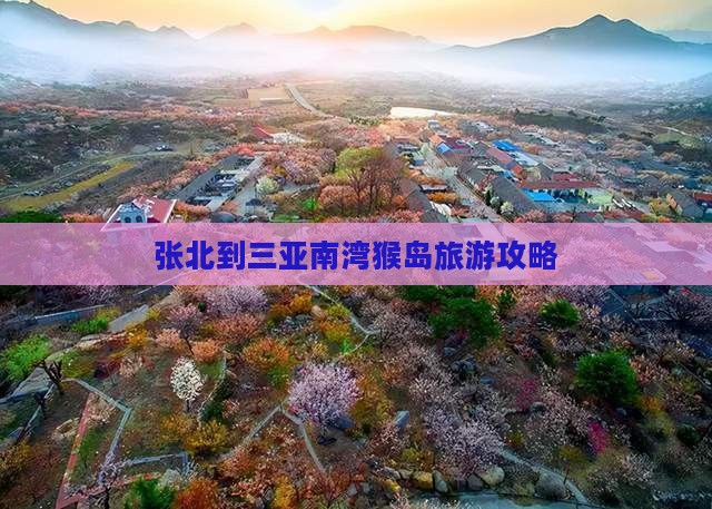 张北前往三亚南湾猴岛个人游