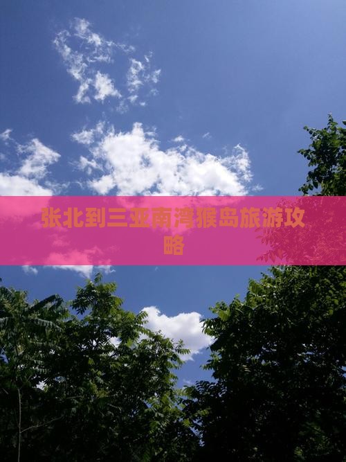张北前往三亚南湾猴岛个人游