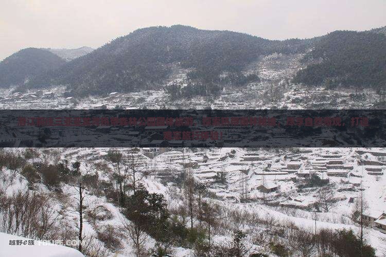 潜江前往三亚亚龙湾热带森林公园团体旅游