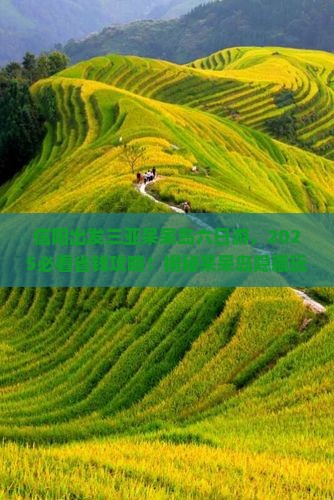 信阳出发三亚呆呆岛六日游