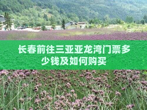 长春前往三亚亚龙湾门票