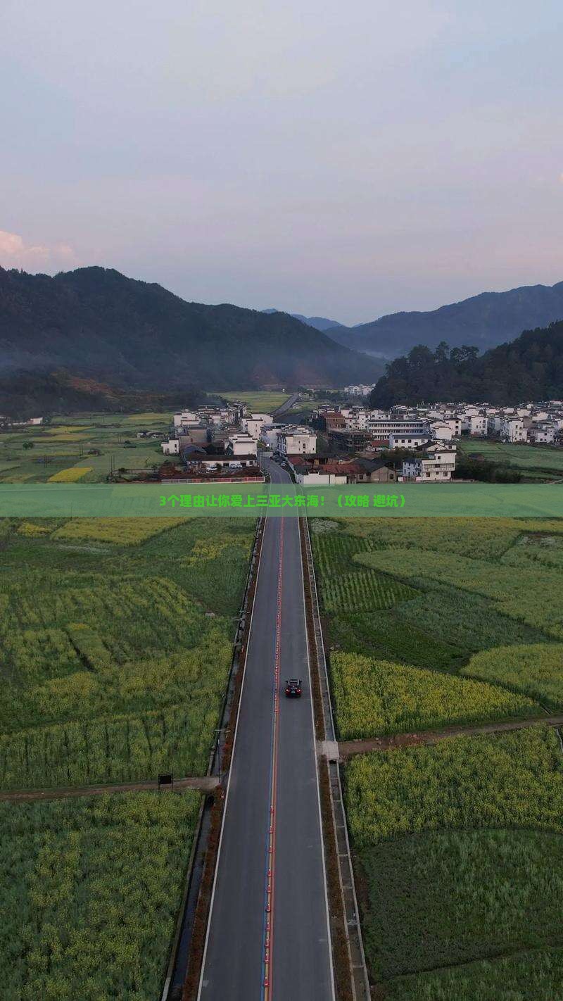 阿泰勒去三亚大东海必玩地