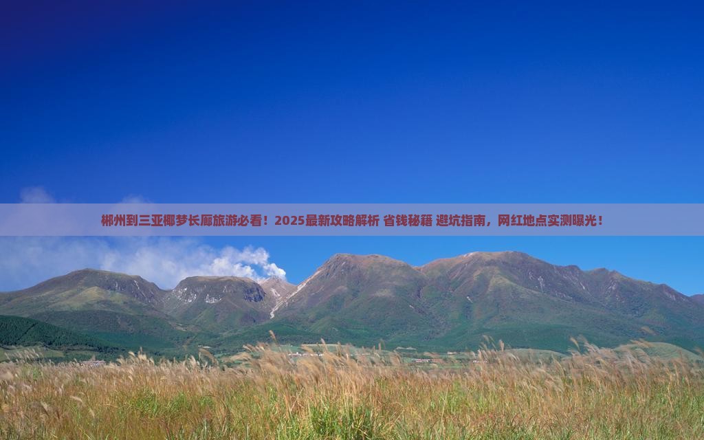 郴州前往三亚椰梦长廊旅游网红地点
