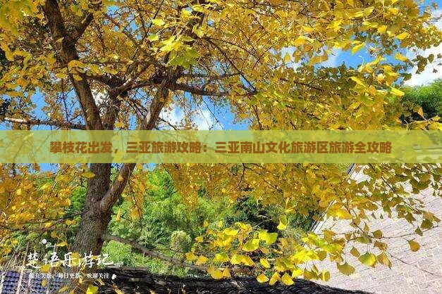 攀枝花去三亚南山文化旅游区攻略