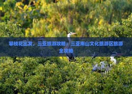 攀枝花去三亚南山文化旅游区攻略
