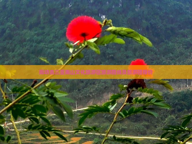 廊坊去三亚南山文化旅游区旅游