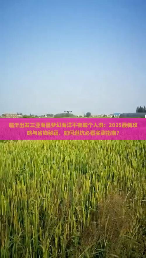 临沂出发三亚海昌梦幻海洋不夜城个人游
