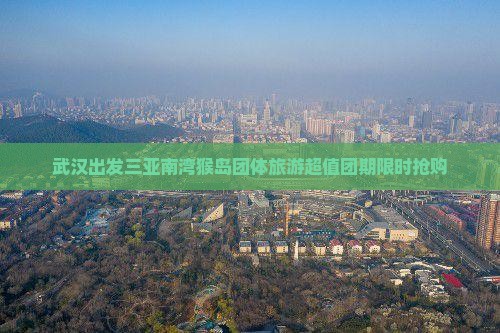 武汉出发三亚南湾猴岛团体旅游