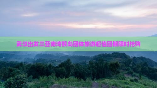 武汉出发三亚南湾猴岛团体旅游