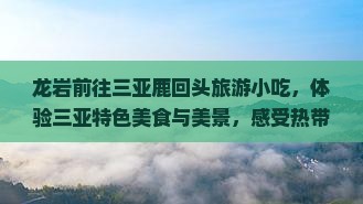 龙岩前往三亚鹿回头旅游小吃