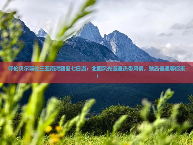 呼伦贝尔前往三亚南湾猴岛七日游