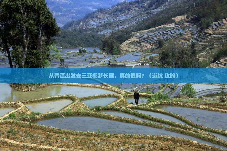 普洱前往三亚椰梦长廊大型旅游团