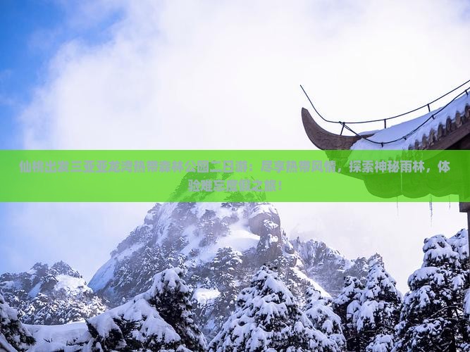 仙桃出发三亚亚龙湾热带森林公园二日游