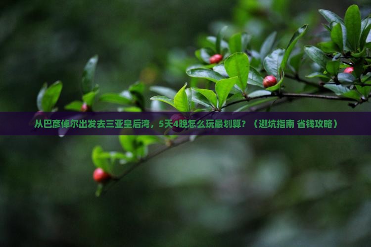 巴彦倬尔出发三亚皇后湾旅行社