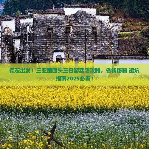 德宏去三亚鹿回头三日游