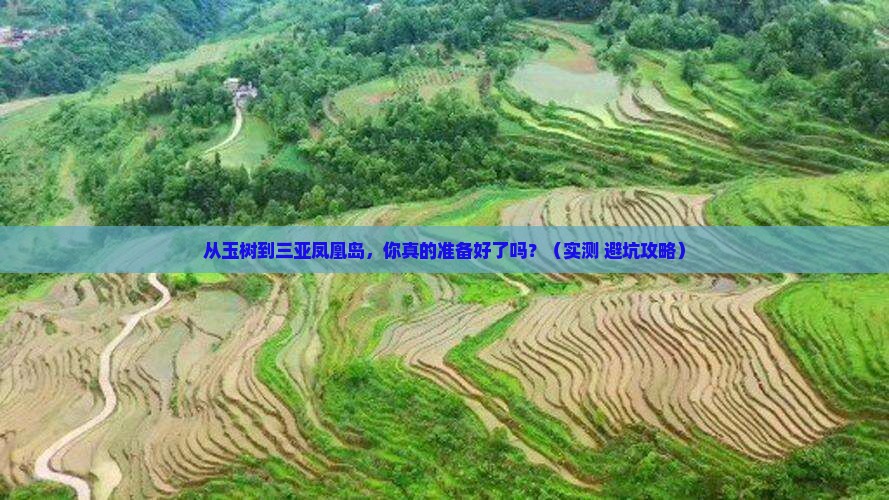 玉树前往三亚凤凰岛个人游