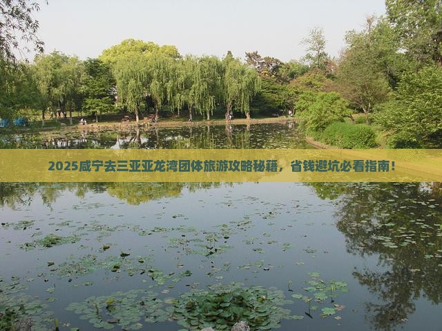 咸宁去三亚亚龙湾团体旅游
