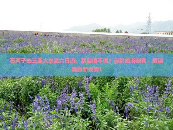 石河子去三亚大东海六日游