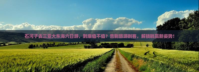 石河子去三亚大东海六日游